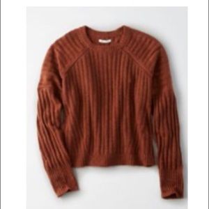 AE Rust Crew Neck Pullover Sweater